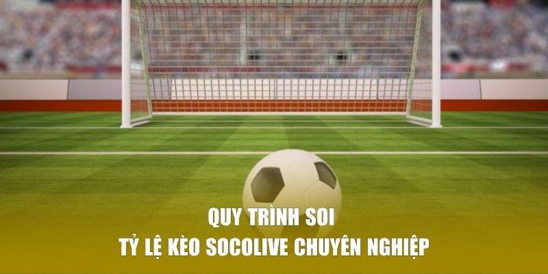 Quy trình chơi ván cược chuyên nghiệp nhất